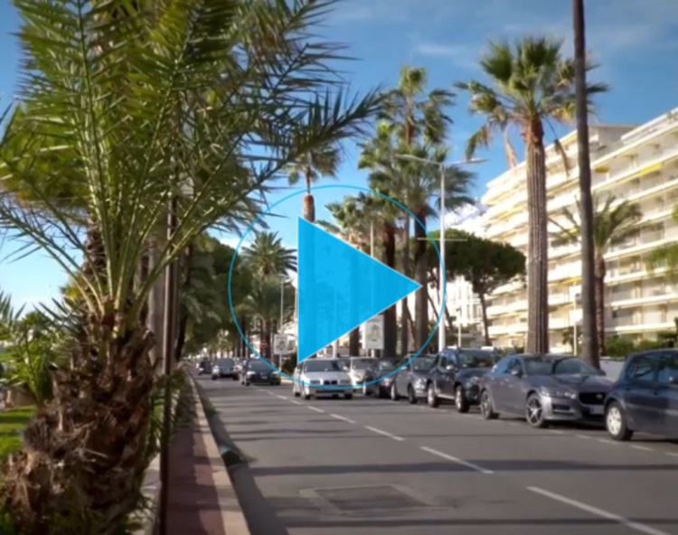 In the City of Cannes